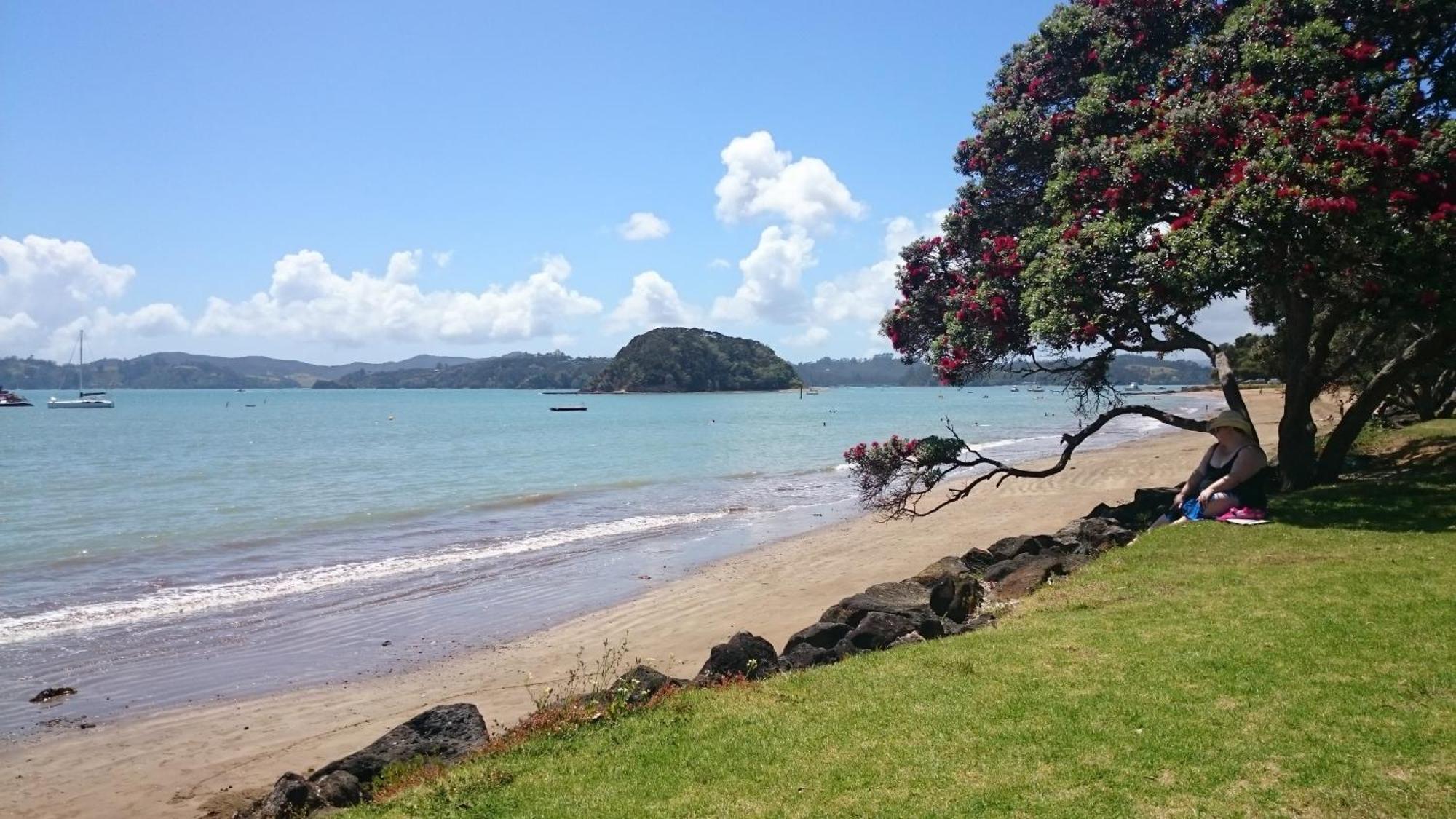 Ala Moana Motel Paihia Exteriér fotografie